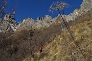 15 Attraversando un rado bosco